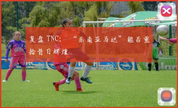 复盘 TNC： “东南亚马达”能否重拾昔日辉煌