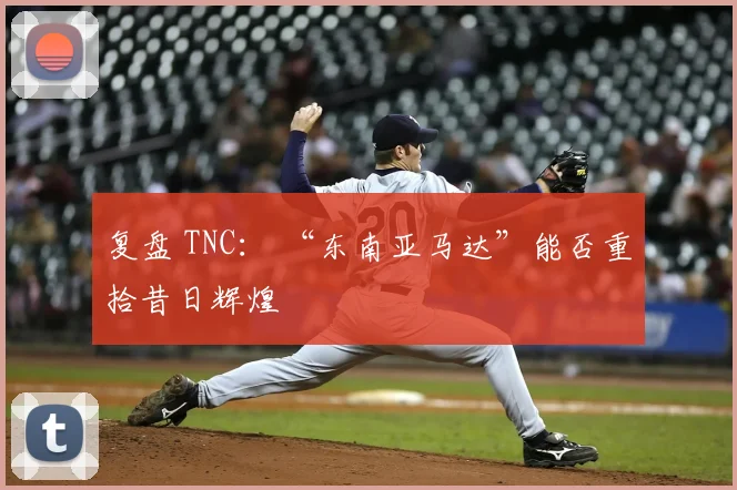 复盘 TNC: “东南亚马达”能否重拾昔日辉煌
