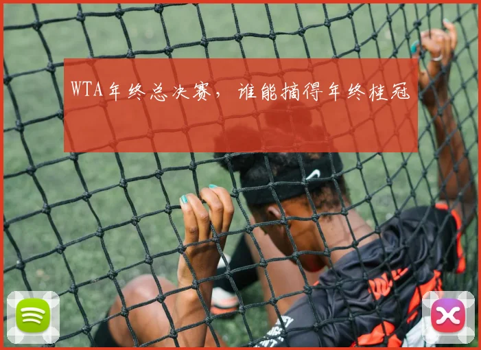 WTA年终总决赛,谁能摘得年终桂冠